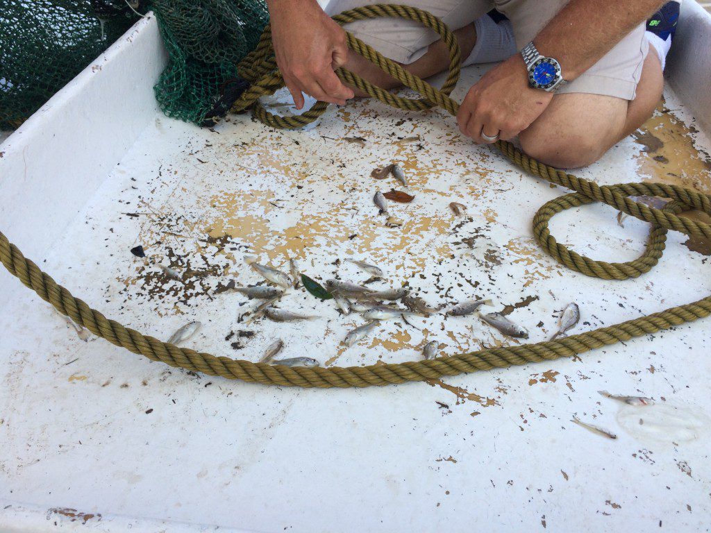 Biloxi Shrimp Tour